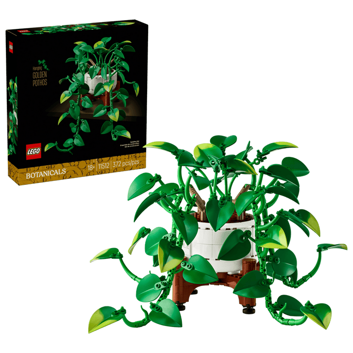 11512 Hanging Golden Pothos