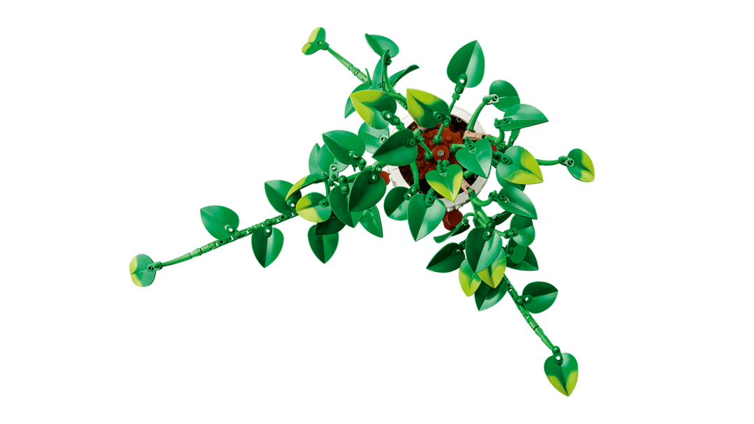 11512 Hanging Golden Pothos