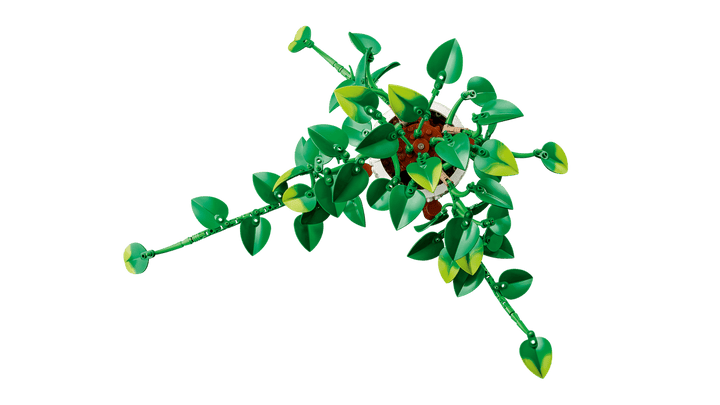 11512 Hanging Golden Pothos