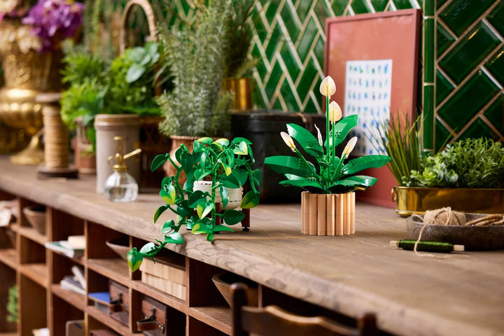 11512 Hanging Golden Pothos