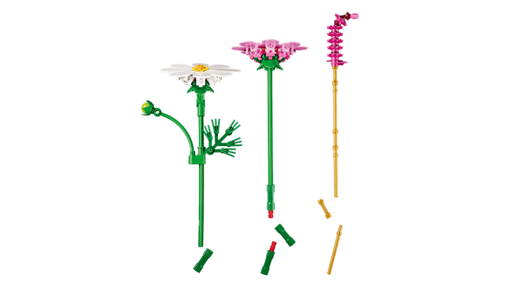 11514 Cosmos Flowers