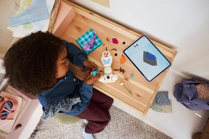 43287 Olaf and Bruni’s Picnic Fun