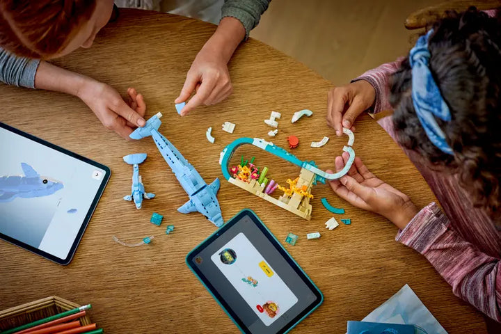 31385 Sea Animals: Beautiful Dolphins