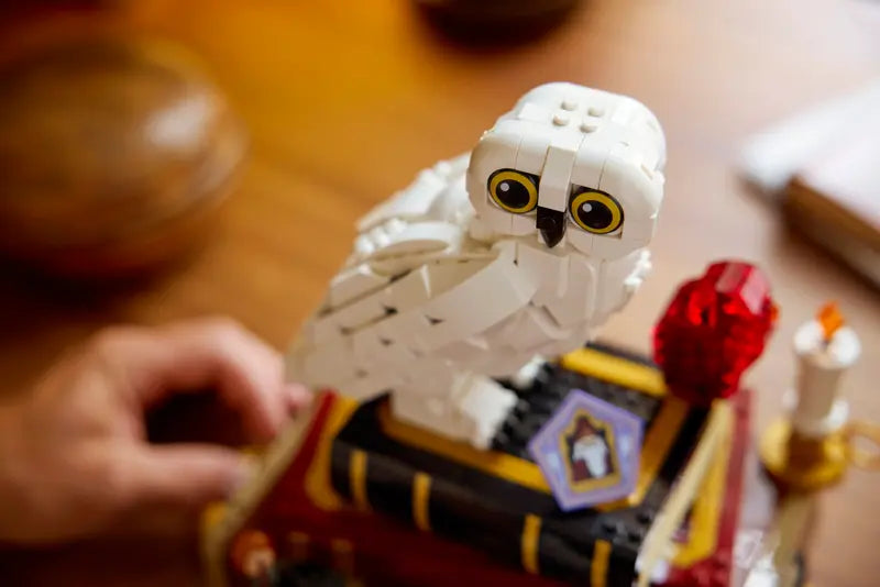 76466 Sorcerer's Stone – Collectors' Edition