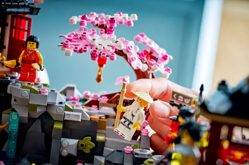 71861 The Old Town 15th Anniversary