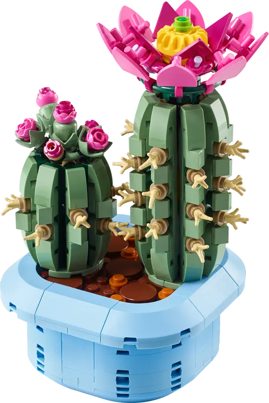 11509 Flowering Cactus
