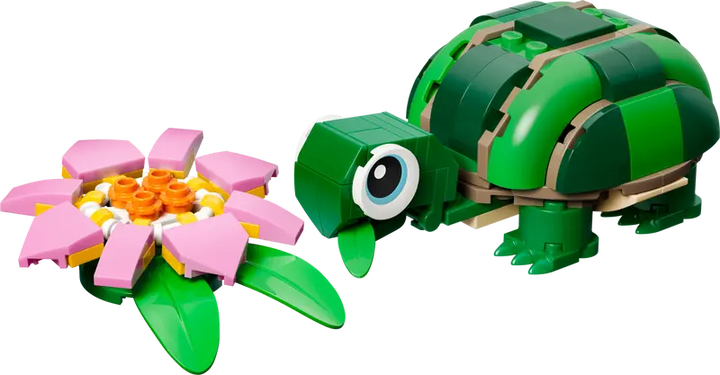 31377 Turtle with a Water Lily Flower