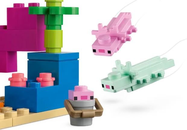 21247 The Axolotl House