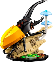21342 The Insect Collection