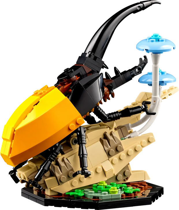 21342 The Insect Collection