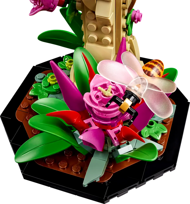21342 The Insect Collection