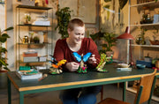 21342 The Insect Collection