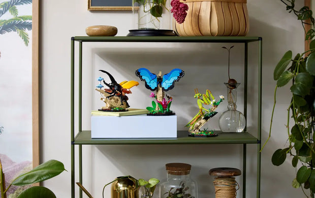 21342 The Insect Collection