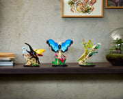 21342 The Insect Collection
