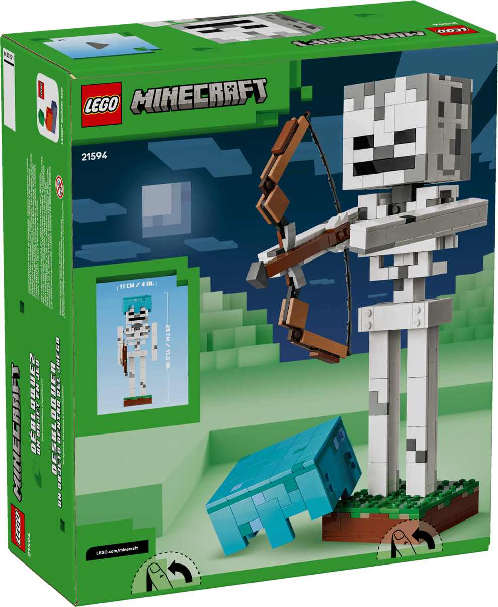21594 The Skeleton