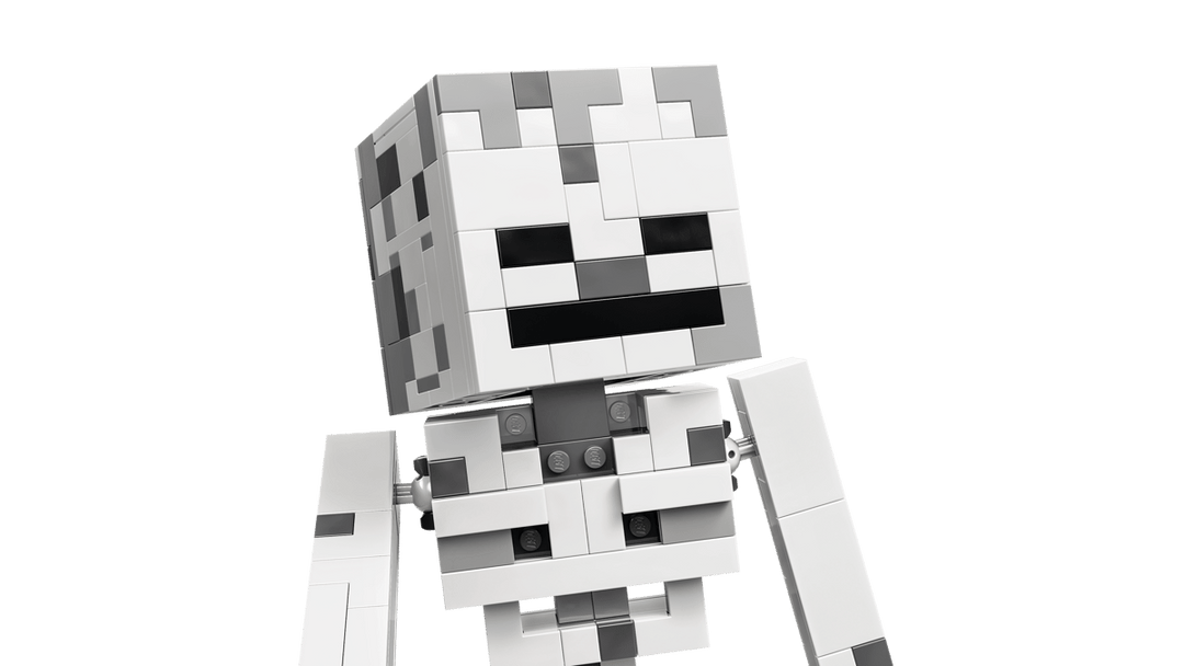 21594 The Skeleton