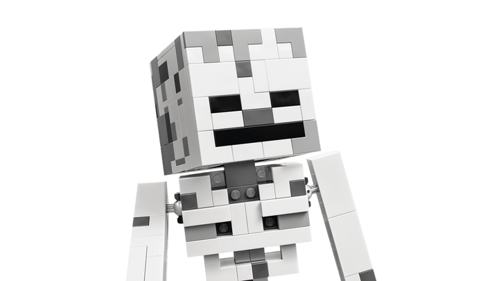 21594 The Skeleton