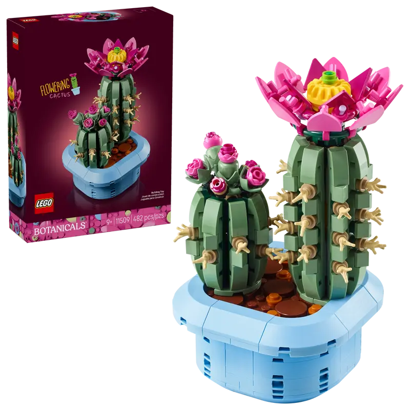 11509 Flowering Cactus