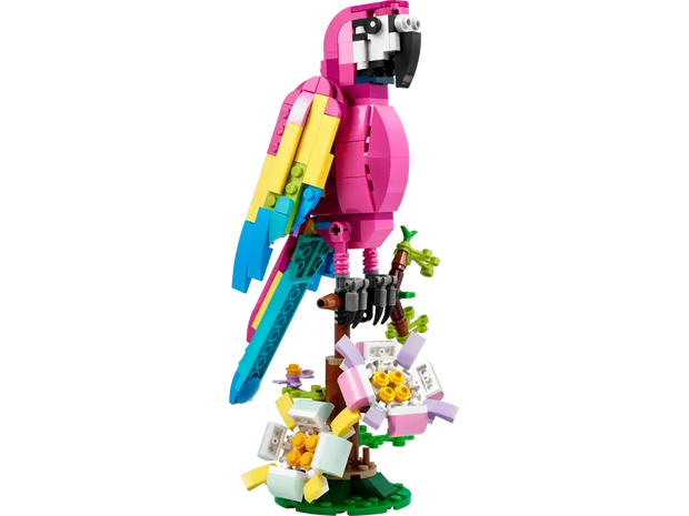 31144 Exotic Pink Parrot