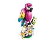 31144 Exotic Pink Parrot