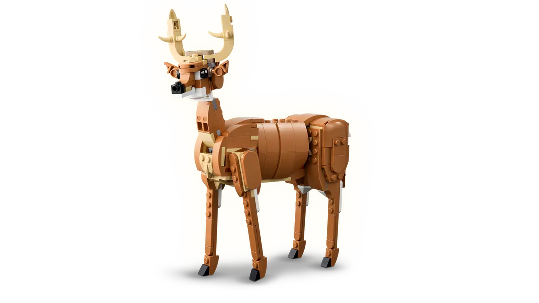 31166 Beautiful Horse