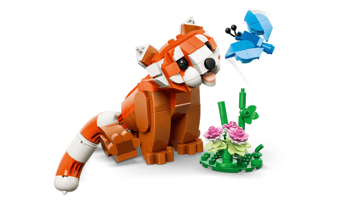 31394 Cute Animals: Red Panda