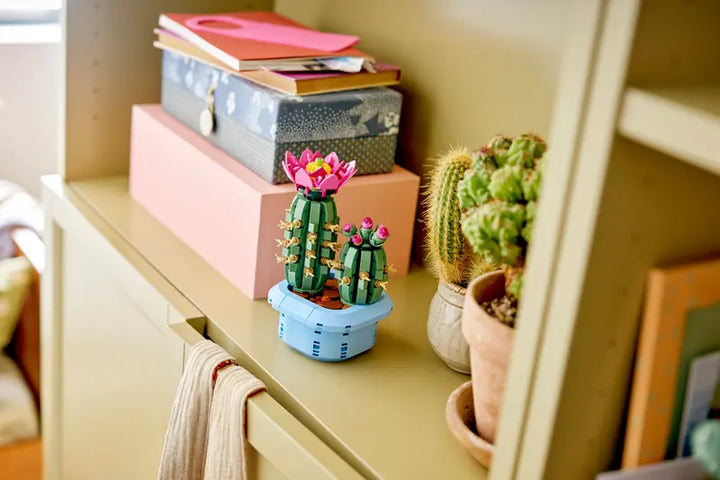 11509 Flowering Cactus