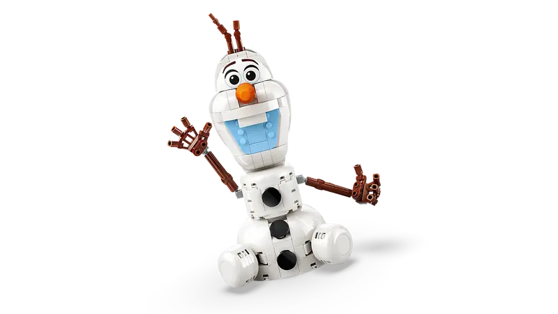 43287 Olaf and Bruni’s Picnic Fun