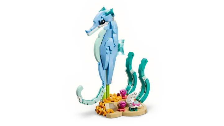 31385 Sea Animals: Beautiful Dolphins