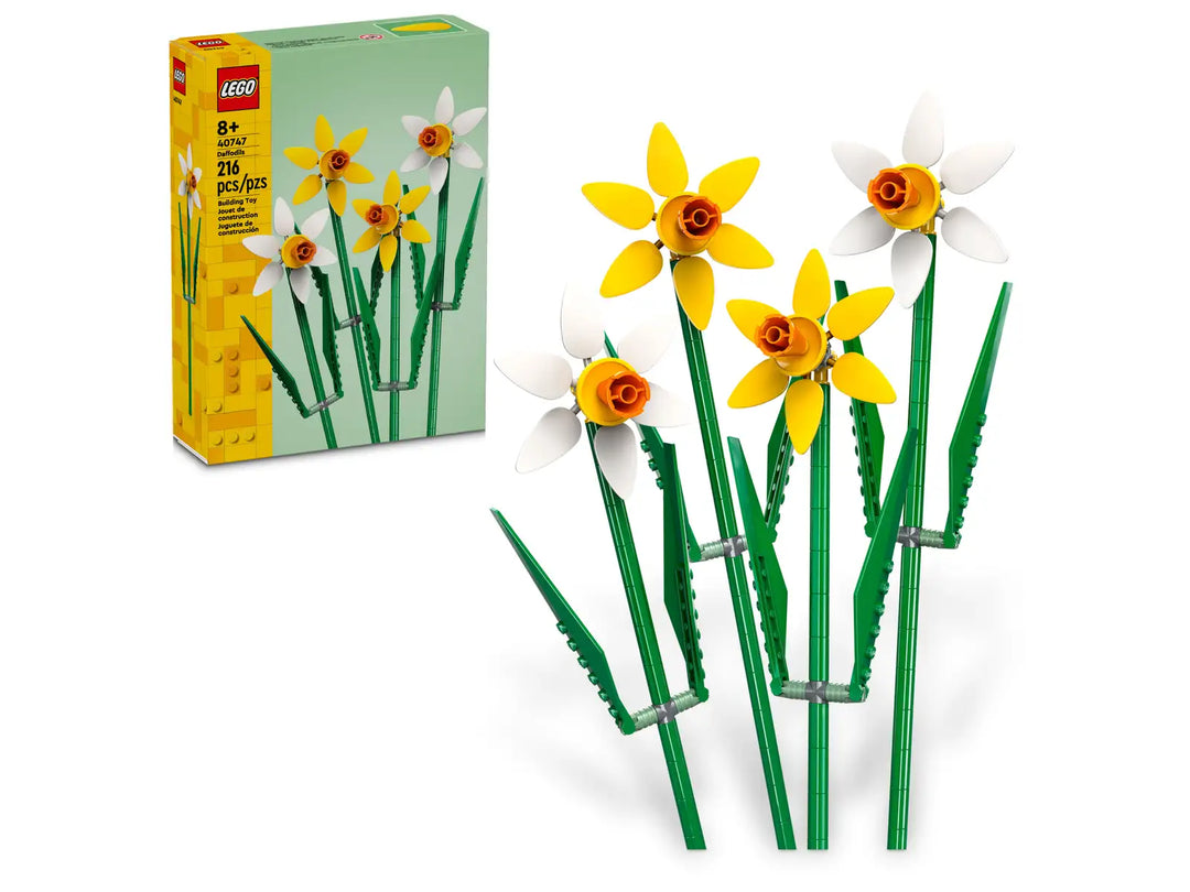 40747 Daffodils