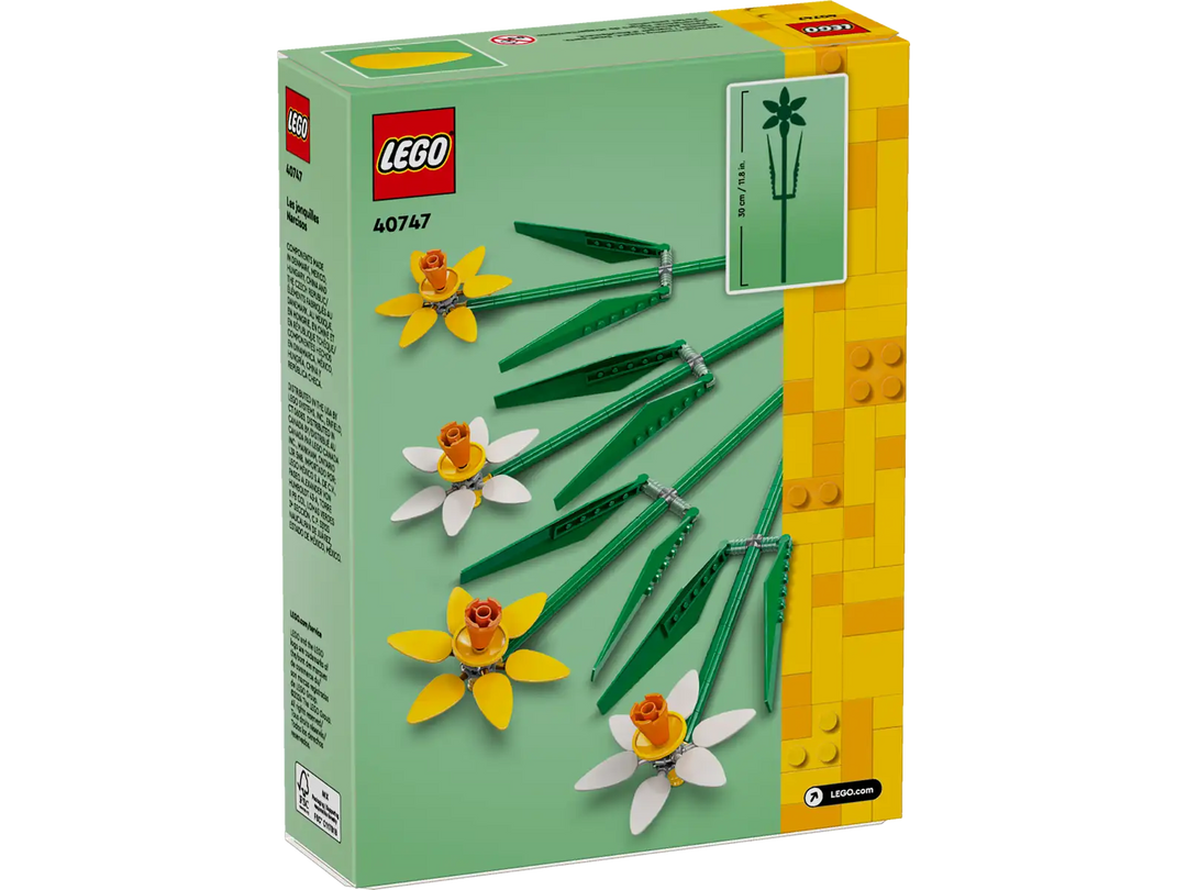 40747 Daffodils