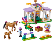 41746 Horse Training