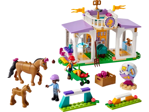41746 Horse Training