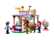 41746 Horse Training
