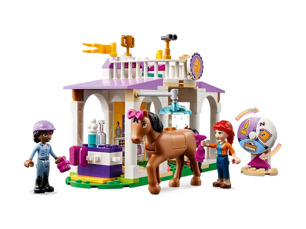 41746 Horse Training