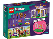 41746 Horse Training