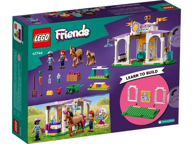41746 Horse Training