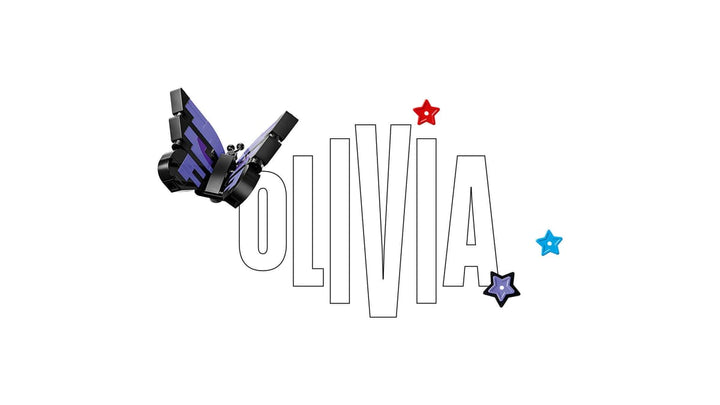 43030 Olivia Rodrigo's Secret Storage