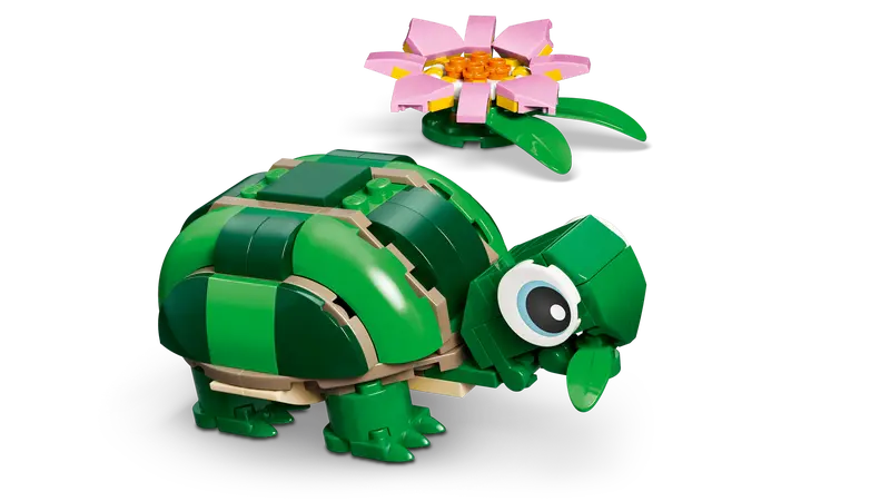 31377 Turtle with a Water Lily Flower