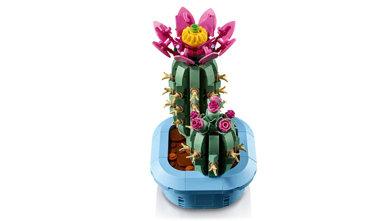 11509 Flowering Cactus