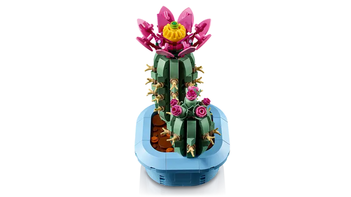 11509 Flowering Cactus