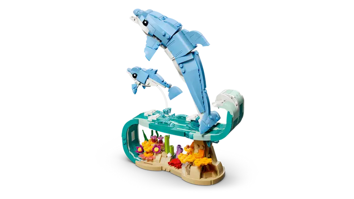 31385 Sea Animals: Beautiful Dolphins