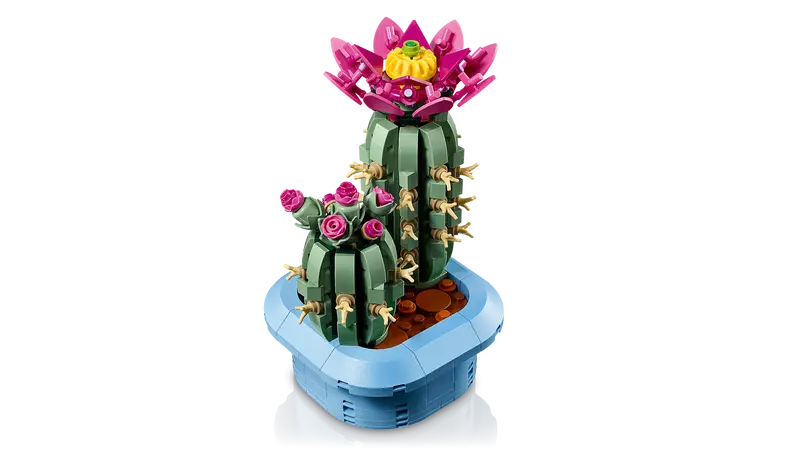 11509 Flowering Cactus
