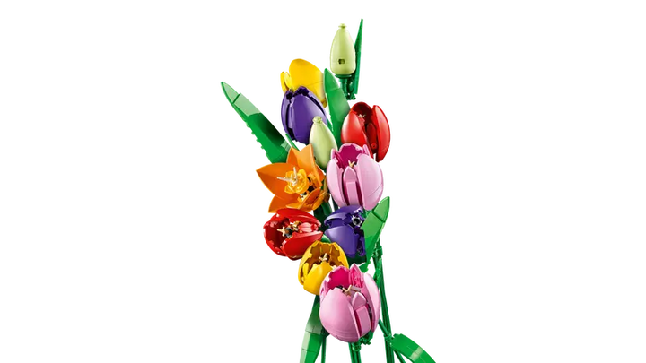 11501 Tulip Bouquet