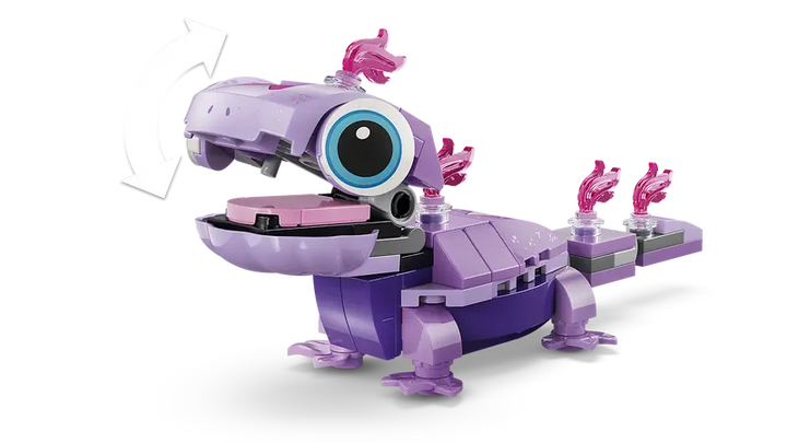 43287 Olaf and Bruni’s Picnic Fun