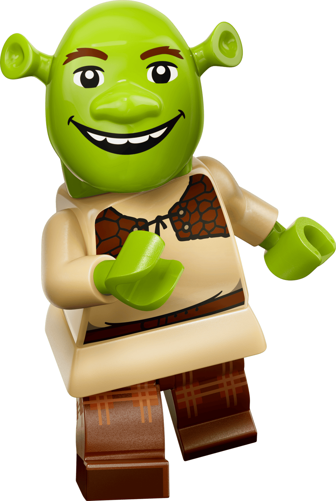 71053 Shrek Series