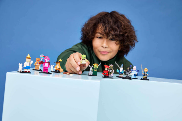 71053 Shrek Series