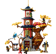 71795 Temple of the Dragon Energy Cores