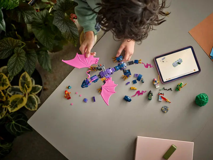 71842 Rontu the Master Dragon