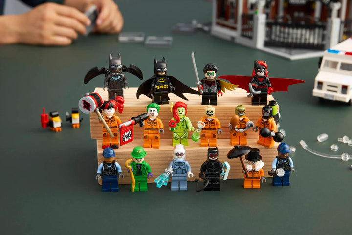 76300 Arkham Asylum™